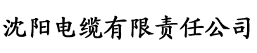 一级a做爰片完整版无码电缆厂logo